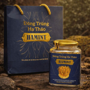 Alternative view of Đông Trùng Hạ Thảo Hamint