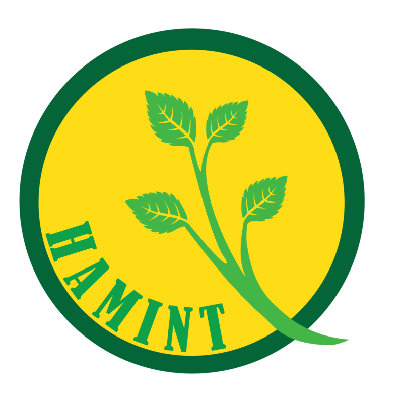 Công ty CP KH&CN Hamint