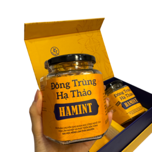 Đông Trùng Hạ Thảo Hamint