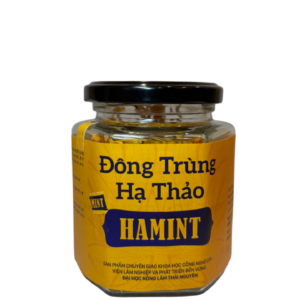 Đông Trùng Hạ Thảo Hamint