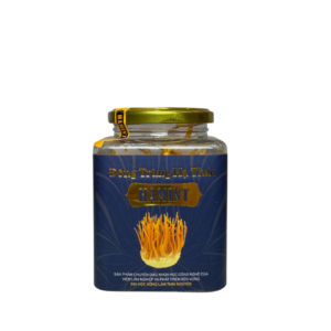 Đông Trùng Hạ Thảo Hamint