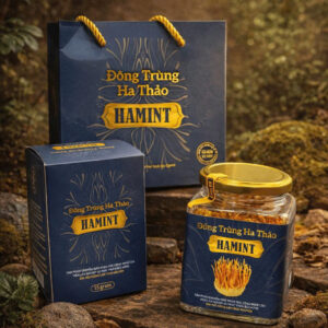 Alternative view of Combo Đông Trùng Hạ Thảo Hamint